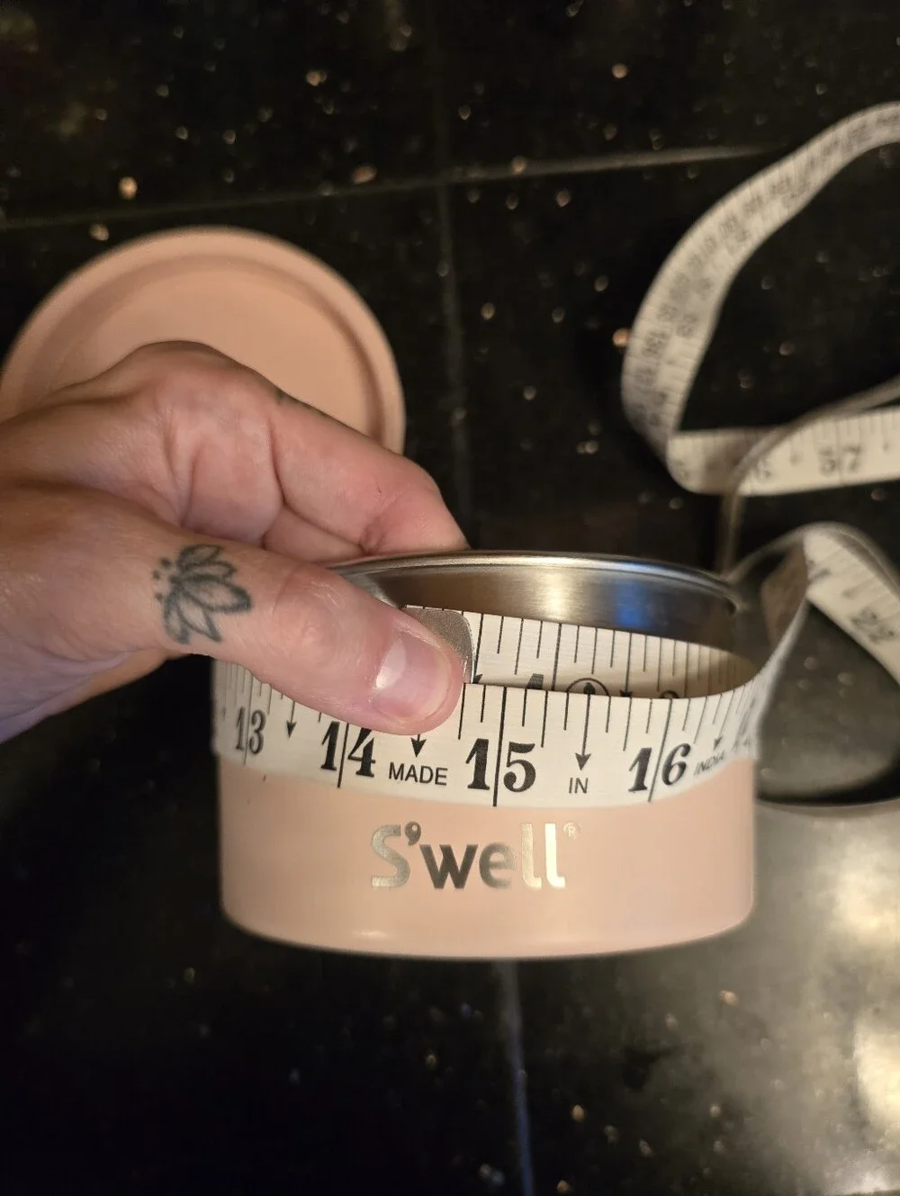 S'Well Food Canister 16 Ounces Pink
